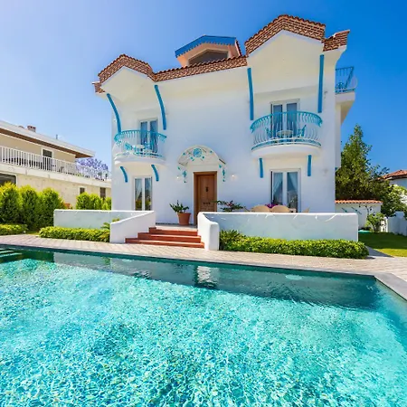 Blue Island فيلة *