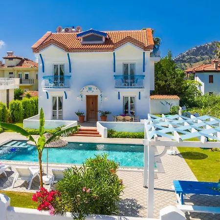 فيلة Blue Island *